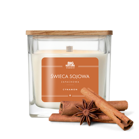 Big Nature Świeca sojowa o zapachu CYNAMON 205g
