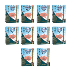 Zestaw 10x Renske Fresh salmon - świeży łosoś bez zbóż dla psów (375 g)