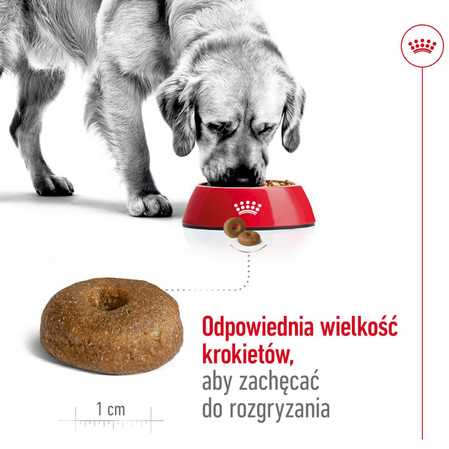 ROYAL CANIN Maxi Ageing 8+ L 15kg