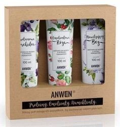 Anwen - Zestaw 3 Odżywek do porowatości wysokiej - 3x 100 ml