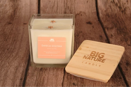 Świeca sojowa zap. insp. MADEMOISELLE 450g