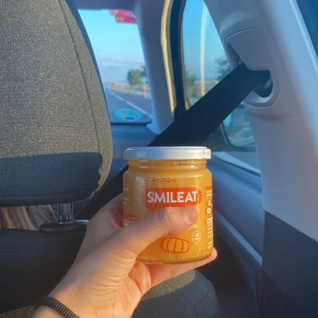 Smileat, BIO Słoiczek z dynią i cukinią 6m+, 230 g