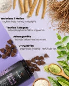 Rogers Labs Spokój I Relaks - przysmak - kąsek funkcjonalny dla psa - 60szt - 180 g