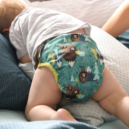 Close, Pop-in AI2, Pielucha wielorazowa zapinana na napy, Bear