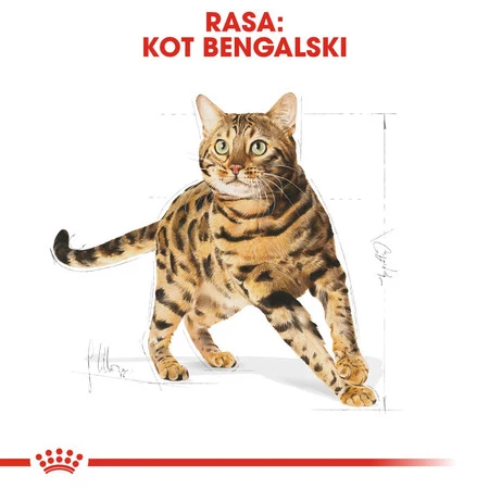 ROYAL CANIN BENGAL Adult 2kg