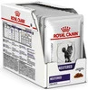 ROYAL CANIN VCN NEUTERED BALANCE Feline 85g