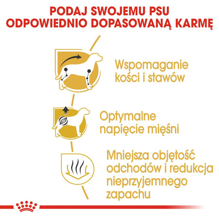 ROYAL CANIN Dachshund Jamnik Adult 7,5kg