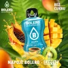 Zestaw Bolero Exotic (Owoce Egoztyczne) ze stewią 12 szt. x 9 g napój w proszku bez cukru