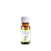 Etja, Olejek Kajeputowy, 10 ml
