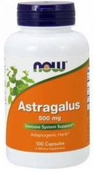 Now - Astragalus 500 mg - 100 kaps