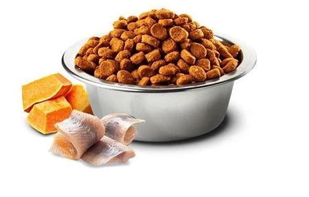 Farmina N&D OCEAN DOG Pumpkin Cod Mini Adult Dorsz, dynia i pomarańcza - sucha karma dla psa - 7kg