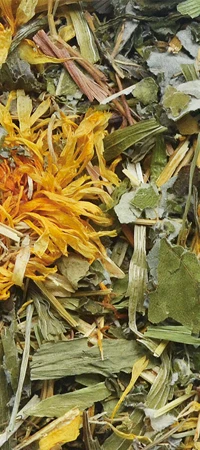 KORONA NATURY Natural-Vit Suszone zioła dla Chomików 70g