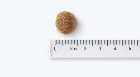 John Dog Karma Sucha Good Form Adult Cielęcina Z Jagnięciną Średnie i Duże Rasy 12 kg