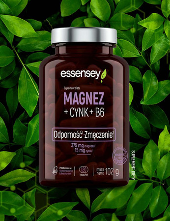 ESSENSEY MAGNEZ+CYNK+B6 120 kaps