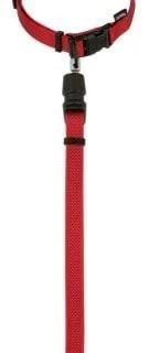 KERBL GoleyGo Zestaw Obroża + Smycz Brązowe S