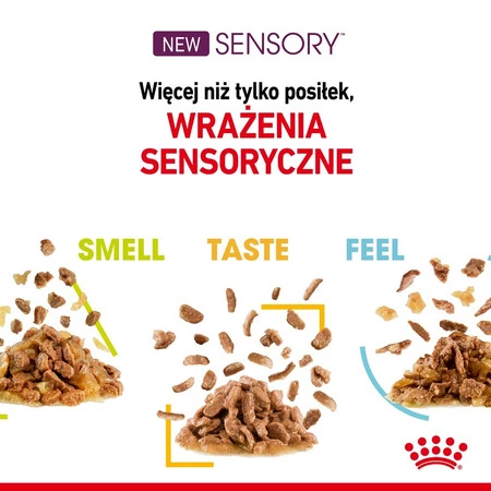 ROYAL CANIN Sensory Smell w sosie 85g