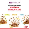 ROYAL CANIN Sensory Smell w sosie 85g