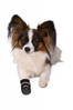 TRIXIE Walker Care Comfort buty ochronne 5-XL 2szt.