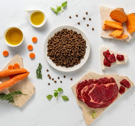 Vet Expert RAW PALEO Mini Adult Ultra Beef 8kg