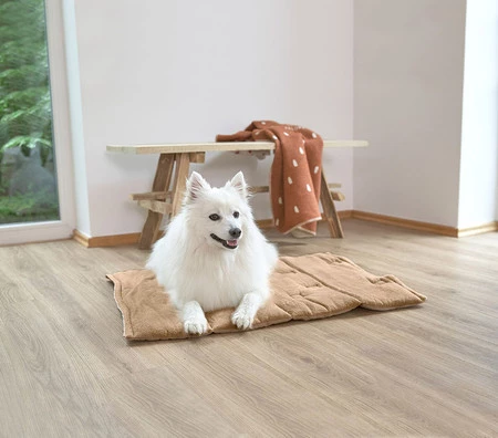 PALOPA Mata dla psa Alma humus S