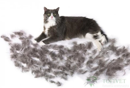 FURminator do podszerstka u kotów długowłosych L