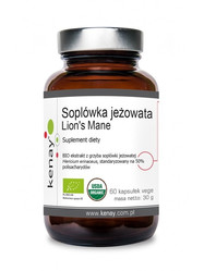 KENAY EKO Soplówka Jeżowata Lion's Mane na wsparcie pamięci i koncentracji 60 kaps.