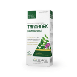 Medica Herbs Traganek (Astragalus) 600mg na wsparcie układu odpornościowego 60 kaps.