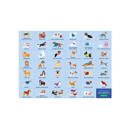 Mudpuppy Puzzle obserwacyjne Park dla psów 64 elementy 4+