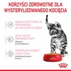 ROYAL CANIN Kitten Sterilised w galaretce 85g