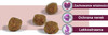 JOSERA Cat KITTEN 400g