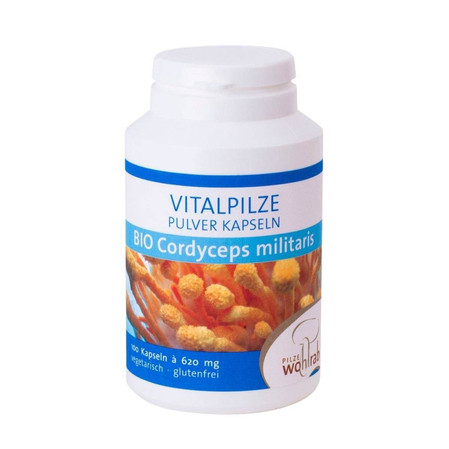 GRZYBY CORDYCEPS MILITARIS (MACZUŻNIK BOJOWY) BIO 100 KAPSUŁEK (500 mg) - PILZE WOHLRAB