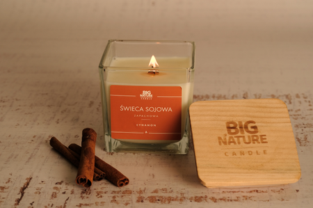 Big Nature Świeca sojowa o zapachu CYNAMON 205g