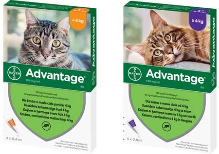 BAYER ADVANTAGE 4x0,8ml Krople na pchły Kot >4kg