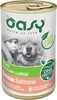 OASY Dog OAP Adult Medium / Large Salmon Łosoś 400g