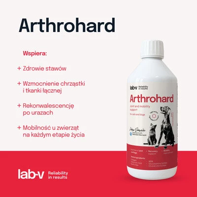 Lab-V ArthroHARD Preparat na wsparcie stawów dla psa i kota 500ml