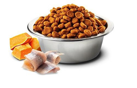FARMINA ND DOG OCEAN Cod Pumpkin Orange Adult Mini 800g