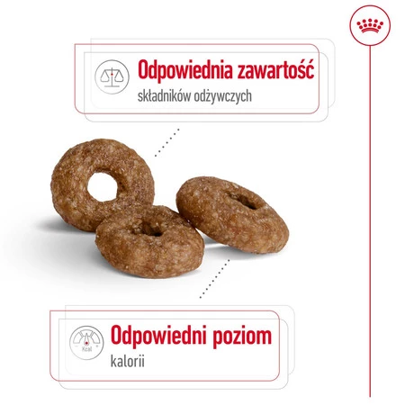 ROYAL CANIN Mini Ageing 12+ S 1,5kg