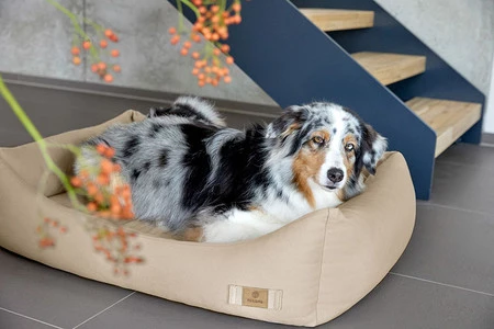 PALOPA Legowisko dla psa bawełniane Fred humus XS