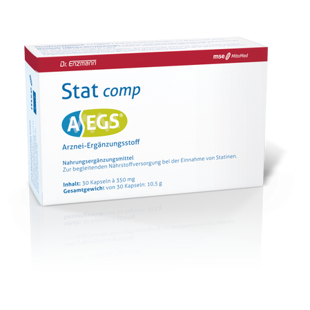 Dr. Enzmann MSE AEGS Stat Comp MSE 30 kaps.