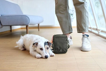 PALOPA Torebka saszetka na smakołyki dla psa Greta dark olive L