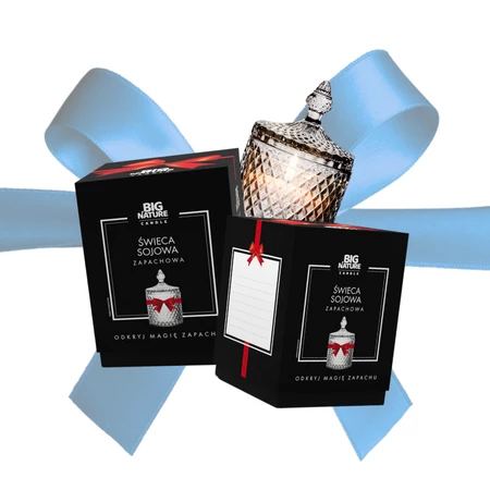 Świeca sojowa zap. insp. DIOR SAUVAGE 485g PREZENT