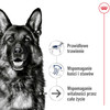 ROYAL CANIN Maxi Ageing 8+ L 15kg