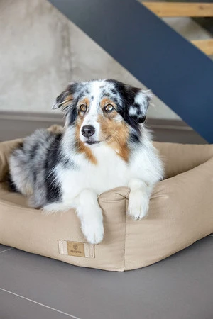 PALOPA Legowisko dla psa bawełniane Fred humus XS