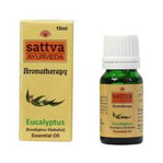Olejek eteryczny Eucalyptus