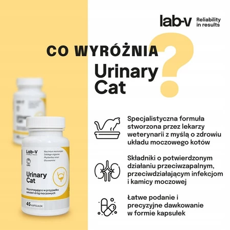 Lab-V Urinary Cat wsparcie układu moczowego dla kotów 45 kaps.