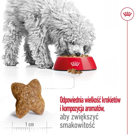 ROYAL CANIN Mini Adult S 2kg + 3 Saszetki 85g GRATIS !!