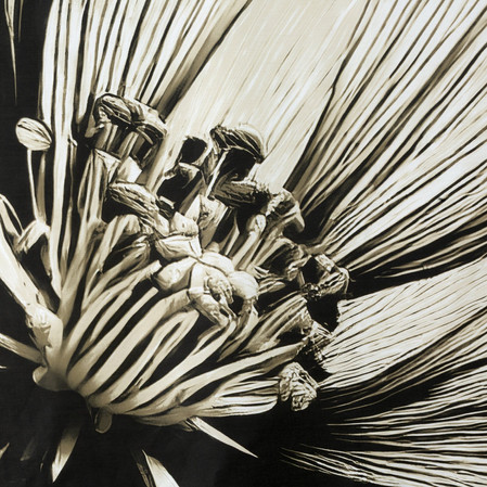 Komplet pościeli 160X200 70X80/X2