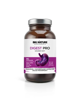 Big Nature Digest Pro 90 kaps.