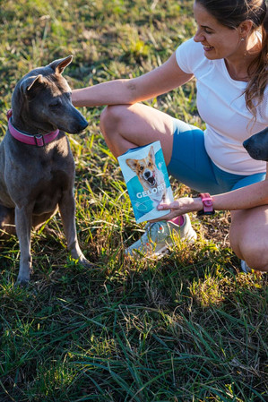 Geloren Small Dog 180g - Mieszanka uzupełniająca, żelki dla małych psów na stawy 60 szt.