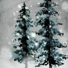 Komplet pościeli satynowej SW/POS/FOREST 140X200 70X80/X1